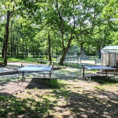 Campsite Mobil-home Cosy Avec Terrasse A - Api-1-52-317 *